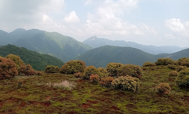 イブネ（イメージ）