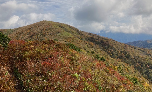 白倉岳から見た金糞岳（イメージ）