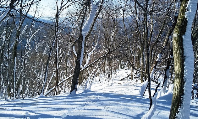 冬の比良山地（イメージ）