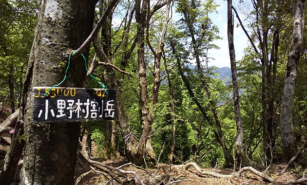 小野村割岳山頂（イメージ）