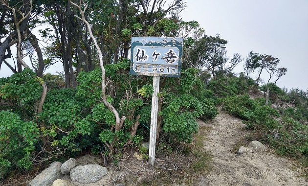 仙ヶ岳の山頂(イメージ)
