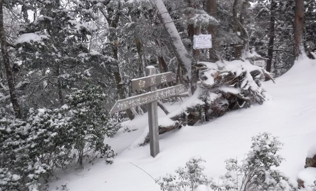 白屋岳の山頂（イメージ）