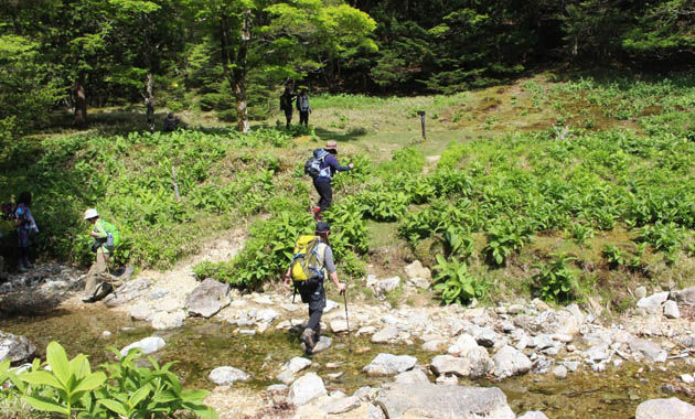 西大台ケ原・なごや谷の渡渉（イメージ）