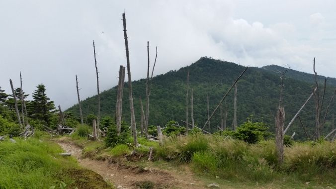 弥山からみた八経ヶ岳(イメージ)