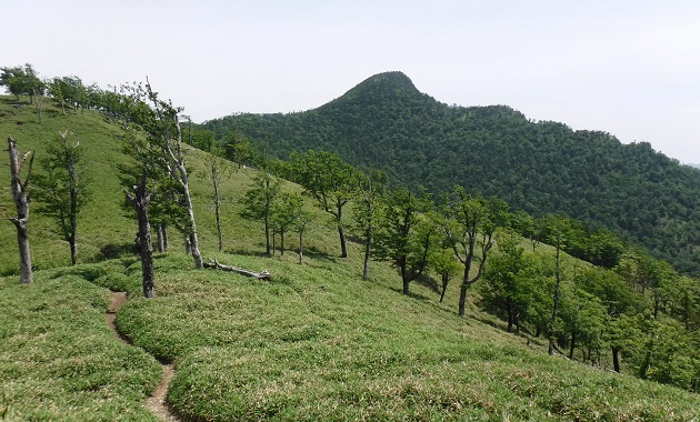 登山道から見た釈迦ヶ岳(イメージ)