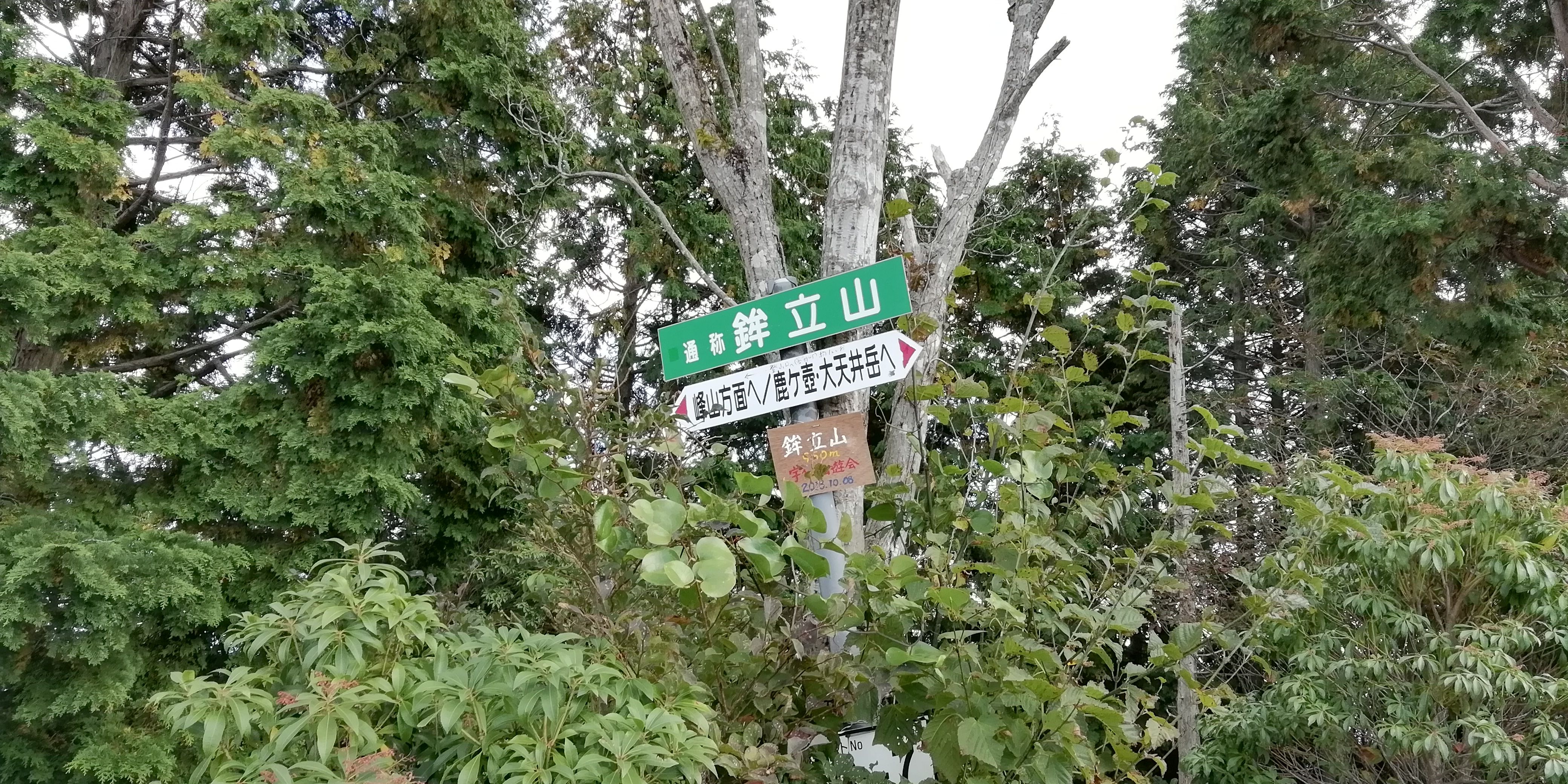 鉾立山山頂(イメージ)