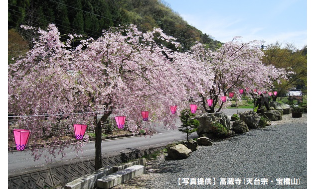 高蔵寺の春の様子(イメージ)