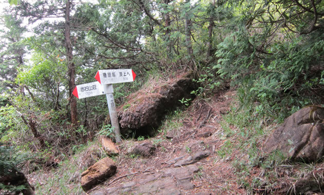 東赤石山の登山道（イメージ）
