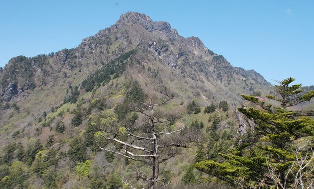 石鎚山の登山道から山頂を望む（イメージ）