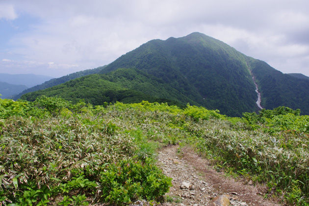 荒島岳への縦走路（イメージ）