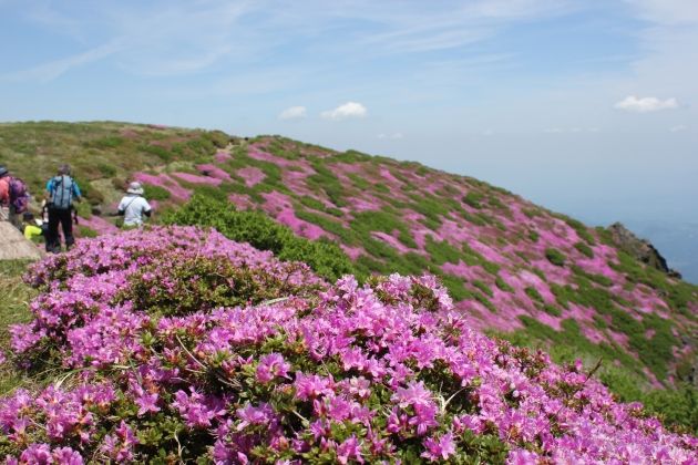 九州百名山｜日本の百名山｜毎日山の旅・登山ツアー【関西・大阪
