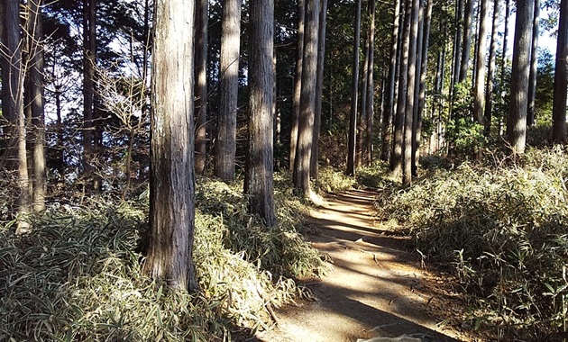 比叡山峰道(イメージ)