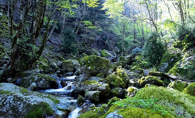 白滝谷(イメージ)