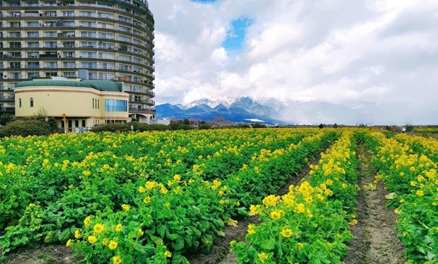 第1なぎさ公園(イメージ)