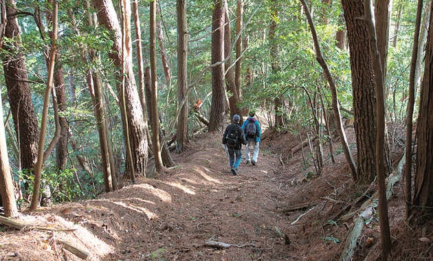 京北コース（提供：京都一周トレイル会）
