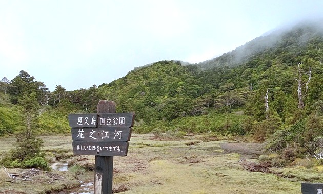 花之江河(イメージ)