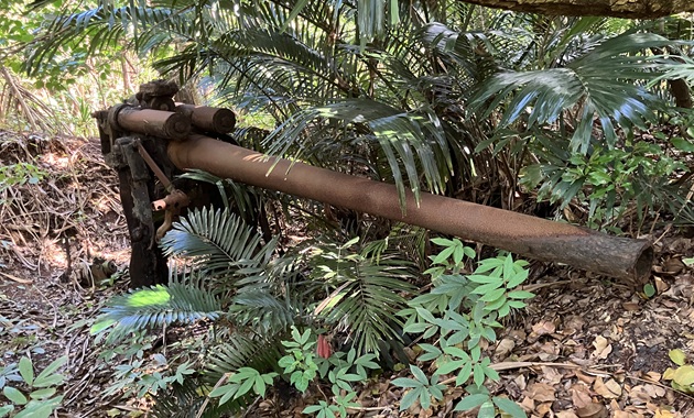 母島に残された太平洋戦争中に築かれた砲台（イメージ）