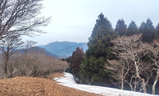 皆子山山頂(イメージ)