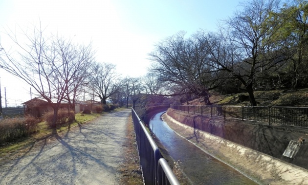 琵琶湖疏水遊歩道(イメージ)