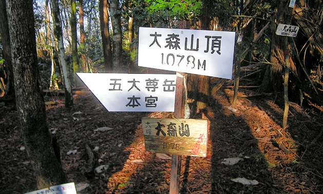 大森山（イメージ）