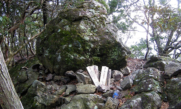 宝冠の森（イメージ）