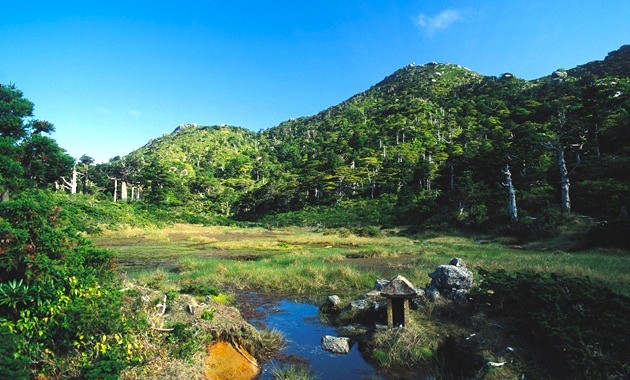 屋久島・花之江河（公益社団法人鹿児島県観光連盟）