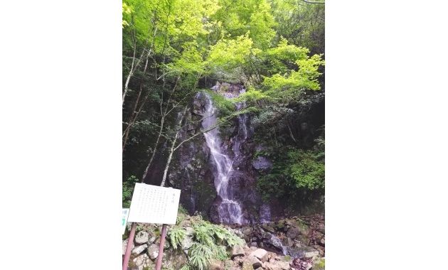 仙人滝(イメージ)