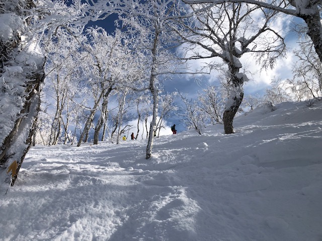 樹氷の中で（イメージ）
